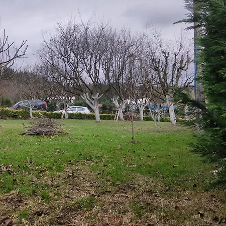 Kozalakvillabungalov * Sakarya (Marmara)