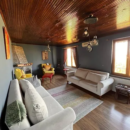 Kozalakvillabungalov Sakarya (Marmara)